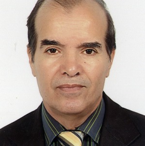 Photo de profil de Abdelmajid Ben Hadj Salem