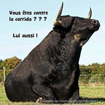 Photo de profil de Achille Robin