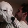 Photo de profil de Adrien Guffens
