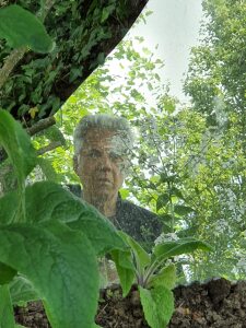 Photo de profil de Alain Beraud