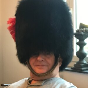 Photo de profil de Alain Bertini