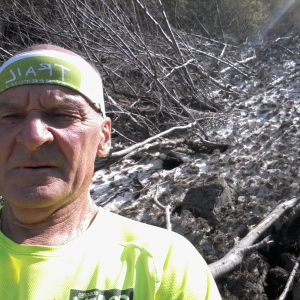 Photo de profil de Alain Dall'agnol