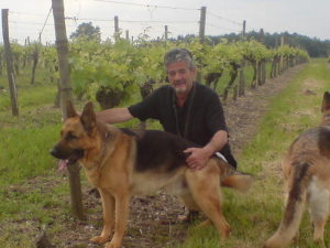 Photo de profil de Alain Duriez