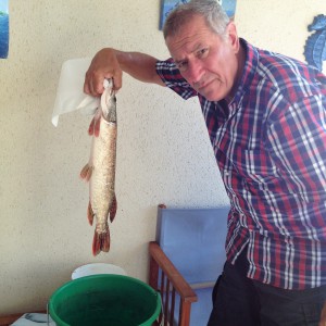 Photo de profil de Alain Verlaguet