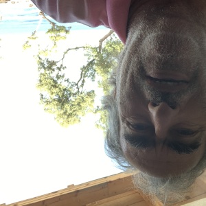 Photo de profil de Albert Bessudo