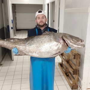 Photo de profil de Alexandre Lopez