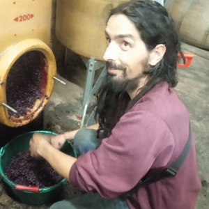 Photo de profil de Alexandre Porteils