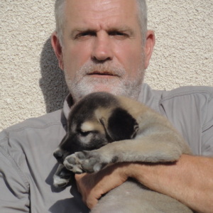 Photo de profil de Alexis Riva