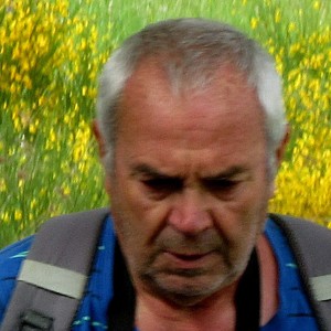 Photo de profil de Andre Mey