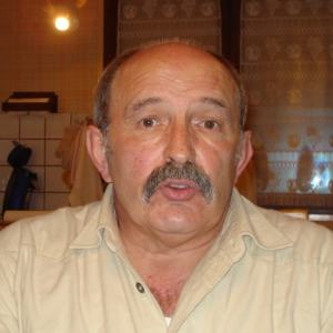 Photo de profil de Andre Stievenazzo