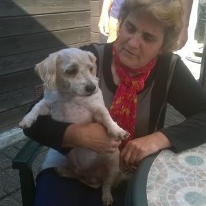 Photo de profil de Anne Marie Beaufort