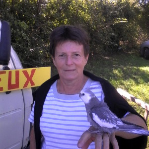 Photo de profil de Annie Augiron