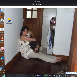 Photo de profil de Annie Chen