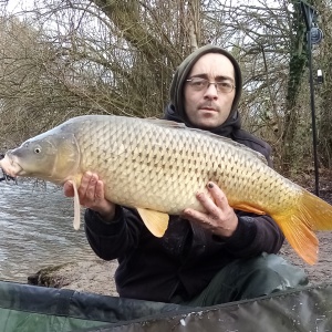 Photo de profil de Anthony Maleinge