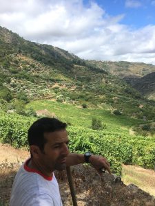 Photo de profil de Antonio José Gregorio