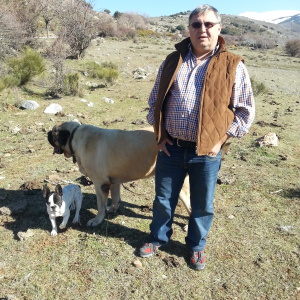Photo de profil de Antonio Montilla Collado