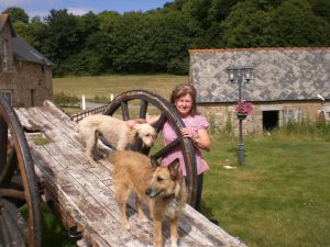 Photo de profil de Armelle Carnoy
