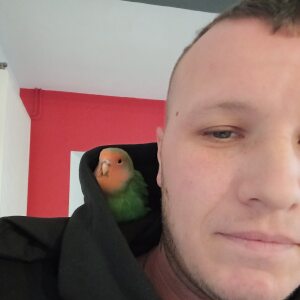 Photo de profil de Aurélien Vandemeulebroucke