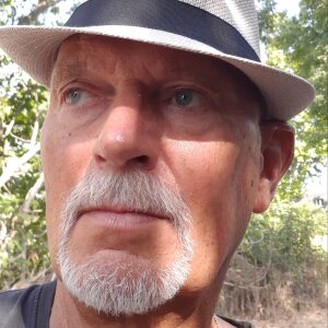 Photo de profil de Bernard Busiris