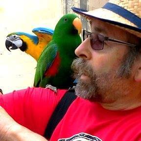 Photo de profil de Bernard Gorgerat