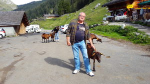 Photo de profil de Bernrad Lucand