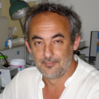 Photo de profil de Bruno Constantin