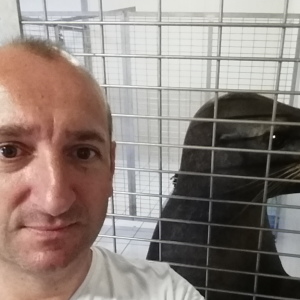 Photo de profil de Bruno Véry