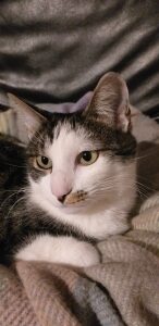 Photo de profil de Carole Mollard