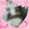 Photo de profil de Catherine Jaffré
