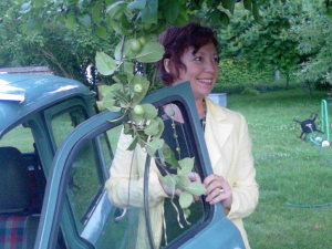 Photo de profil de Catherine Vincent