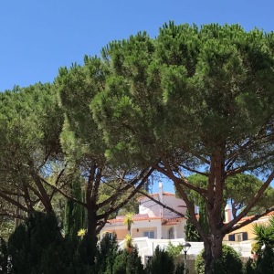 Photo de profil de Chantal Cazanave