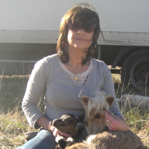 Photo de profil de Christine Banuls-Perez