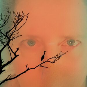 Photo de profil de Christine Malhaire