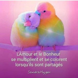 Photo de profil de Christine Mirel