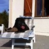 Photo de profil de Christophe Dambrine