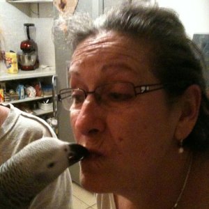 Photo de profil de Danièle Teulier