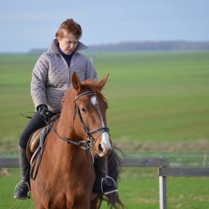 Photo de profil de Dany Braux