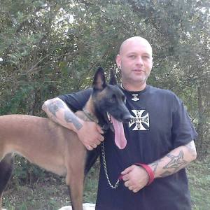 Photo de profil de David Bernardinis