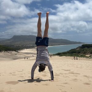 Photo de profil de David Chatelon