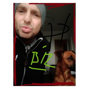 Photo de profil de David Grenier