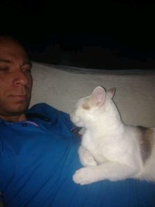 Photo de profil de David Jaffres