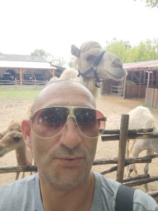 Photo de profil de David Nunes