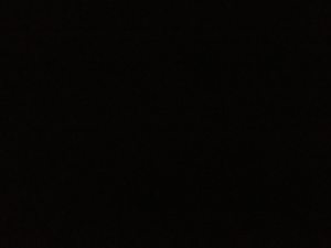 Photo de profil de Delphine Carreras