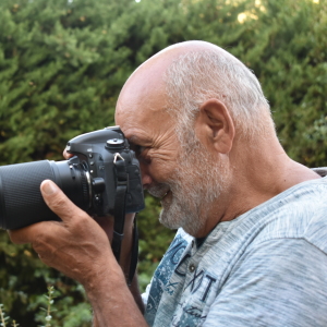 Photo de profil de Diara Costantino