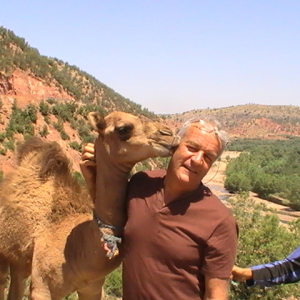 Photo de profil de Didier Carment