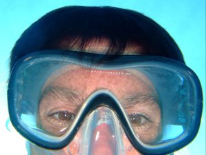 Photo de profil de Dominique Albertini