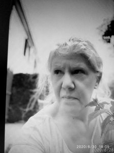 Photo de profil de Dominique Bibard