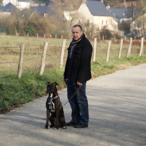 Photo de profil de Dominique Brindeau