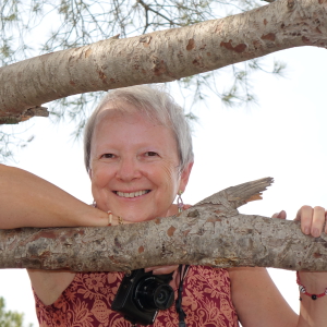 Photo de profil de Dominique Gallet