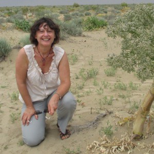 Photo de profil de Dominique Lecomte